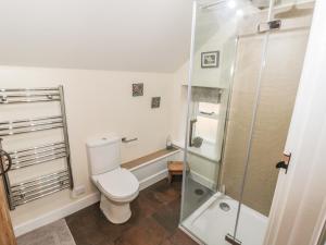 a bathroom with a toilet and a shower at The Ivy Barn in Hognaston
