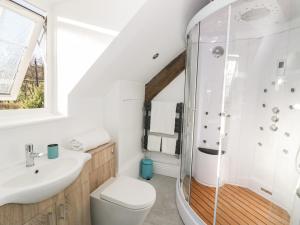 a bathroom with a shower and a toilet and a sink at Lower Tundridge Cottage in Suckley +32 photos