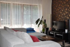 TV a/nebo společenská místnost v ubytování Apartmán Bílá Hora - Roudná