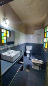 a bathroom with a sink and a toilet at Departamento en Godoy Cruz in Godoy Cruz
