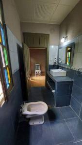 a bathroom with a toilet and a sink at Departamento en Godoy Cruz in Godoy Cruz