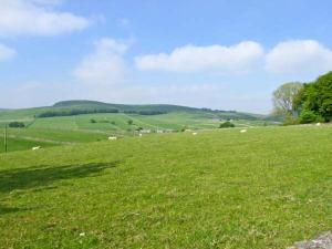 un campo de hierba verde con ovejas a lo lejos en The Cottage, en Buxton