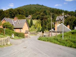 an empty road in a small village with houses at Tailor's Cottage in Abbey-Cwmhir
