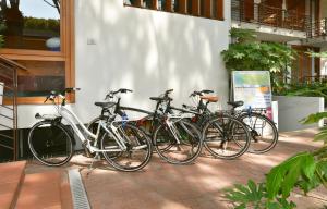 Jízda na kole v ubytování Park Hotel Pineta & Dependance Suite nebo okolí