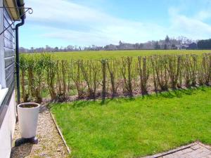 a yard with a fence and a field of grass at The Bothy in Lymington