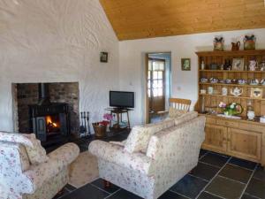 a living room with two couches and a fireplace at Annie's Cottage in Clogher