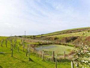 a field with a pond in the middle of a field at Ash Lodge in Ulverston