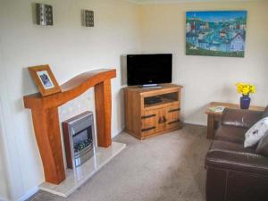 sala de estar con chimenea y TV en The Dovecote, en Hartland