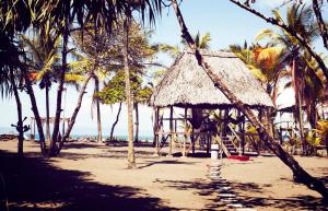 a hut on a beach with palm trees and the ocean at Coloso del Mar in Zancudo