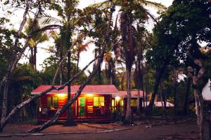 a house in the middle of a forest of palm trees at Coloso del Mar in Zancudo