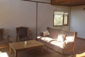 Casa Patagonica# في إل كالافاتي: غرفة معيشة مع أريكة وطاولة قهوة