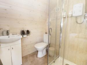 uma casa de banho com um WC, um lavatório e um chuveiro em Idris Pod em Tremeirchion