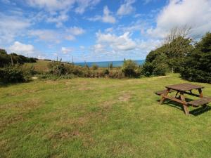 a picnic table in a field with the ocean in the background at The Granary Cottage in Llangranog