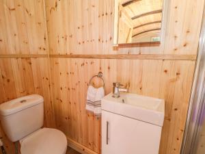 a bathroom with a toilet and a sink at Railway Carriage in Abergavenny