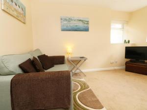 a living room with a couch and a television at Enginefield in Ilfracombe