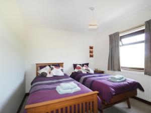 two beds in a room with purple sheets and a window at Acorns in Brampton