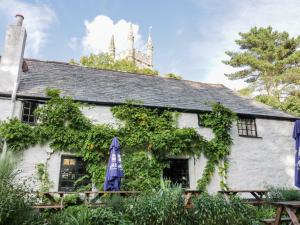 um chalé branco com hera ao lado em Crift Farm Cottage em Bodmin