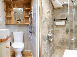 a bathroom with a toilet and a shower at Little Silver Leaf in High Bickington