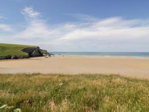 a view of a beach with grass and the ocean at Little May in Newquay