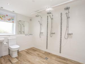een badkamer met een toilet en een douche bij Bwthyn Alberts in Trearddur +36 foto's
