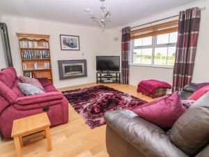 a living room with a couch and a tv at Cadwgan in Cardigan