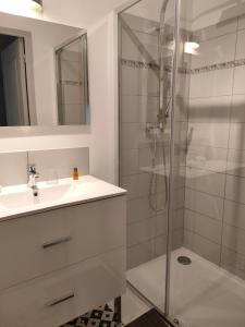 La salle de bains est pourvue d'un lavabo et d'une douche. dans l'établissement Domaine de Panissac, à Berneuil