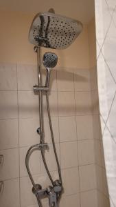 een douche met een douchekop in de badkamer bij Fewo Heimathafen 188 in Petersdorf auf Fehmarn