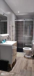 y baño con aseo, lavabo y ducha. en GITE LES AILES DU VENT- BUIGNY ST MACLOU, en Buigny-Saint-Maclou