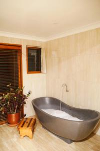 Gallery image of True North - 4BR Home & Garden in Bush Setting with Huge Bath in Bilpin