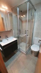 y baño con ducha, aseo y lavamanos. en Precioso apartamento en el Pirineo Catalán, en La Pobla de Lillet
