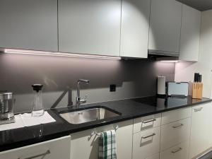 a kitchen with white cabinets and a sink at Studio Gocki in Zurich