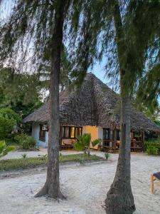Zahrada ubytování Moonshine Uroa Boutique Hotel