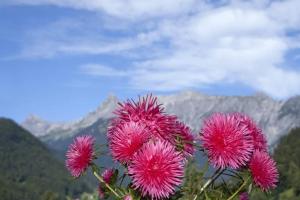 Príroda v okolí apartmánu