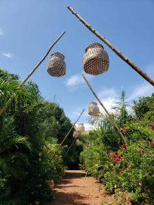 a garden with baskets hanging over some bushes at Mabamba Lodge in Wakiso
