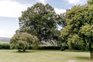 a field with two trees in the middle at Crompton Cottage in Henburg Park