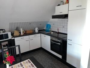 Kuchyň nebo kuchyňský kout v ubytování Komfortable Apartments in der Villa Eule + 37 fotografií