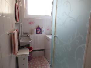 een kleine badkamer met een wastafel en een douche bij Vízközeli nyaralo 6 fo reszere Velencen VCE-7 in Buhinpuszta