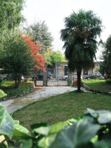 una palmera en un patio con una valla en Villa Crochat, en Como