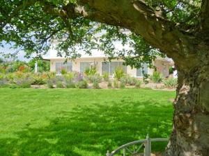 a house in a yard with a green lawn at Herons in Byford +13 photos