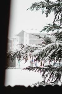 Obiekt St Anton 365 zimą