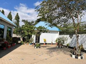 um pátio com vasos de plantas e um edifício branco em Evelina House em Boma la Ngombe