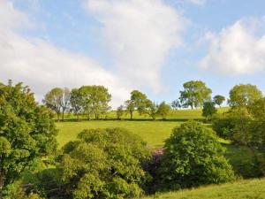un champ vert avec des arbres au loin dans l'établissement Hendre Aled Cottage 3, à Llansannan