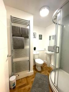 a bathroom with a shower and a toilet and a sink at Prosper House Apartment 5 in Norwich