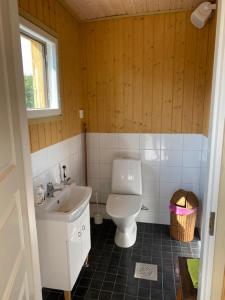 een kleine badkamer met toilet en wastafel bij Pollin Piha in Töfsala