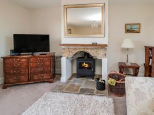 sala de estar con chimenea y TV en Thistleyhaugh Cottage, en Morpeth