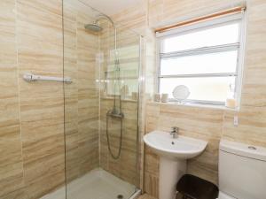 Ystrad MeurigにあるDolau Meurigのシャワー、洗面台、トイレ付きのバスルーム +14枚の写真