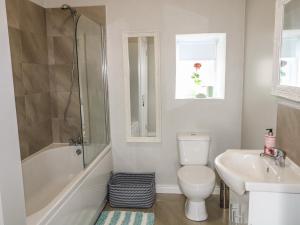 ein Badezimmer mit Toilette, Waschbecken und Dusche in der Unterkunft Pat White's Cottage in Rostrevor + 14 Fotos