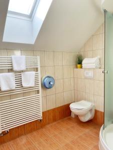 a bathroom with a toilet and a shower at Restaurace Staré Sedlo in Orlík