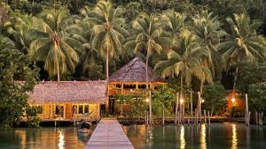 Pulau MansuarNyande Raja Ampat的水上房屋，有棕榈树和码头