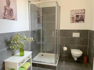 a bathroom with a shower and a toilet at Apartment EIRA am Schleswiger Dom in Schleswig